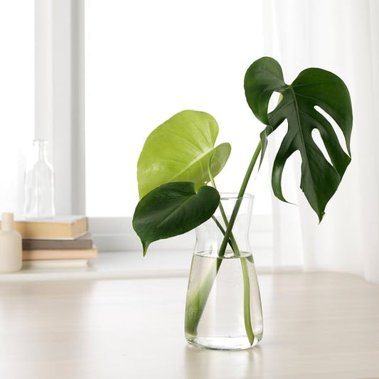 IKEA KARAFF carafe clear glass 1.0 l water juice wine serving jug.