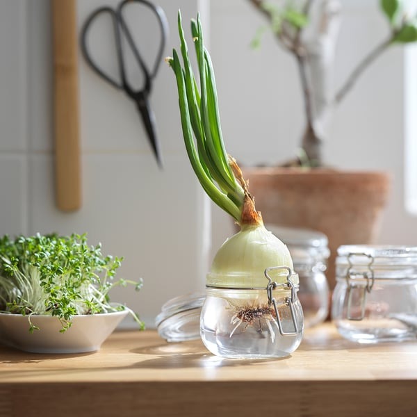 IKEA KORKEN jar with lid clear glass 0.5 l small airtight food storage container.