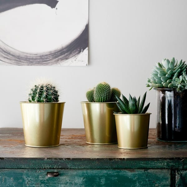 IKEA Plant Pot Brass Colour Size 9 cm DAIDAI.