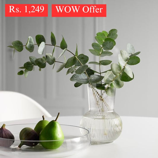 IKEA PARAG vase in clear glass.